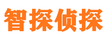 青河市出轨取证